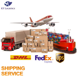 Air Sea DDP LCL Freight Forwarding to USA UK Canada