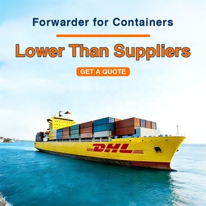 China to Europe USA Sea Freight DDP Agent