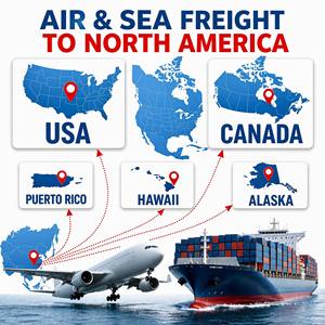 Air And Sea Door Delivery DDP Logistics To USA Canada Boston Cargo