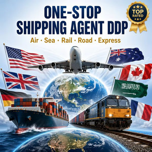 Multimodal Transport Sea Air DDP Logistics