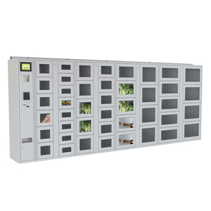 Cold Chain Delivery Frozen Smart Refrigerated Cabinet Locker