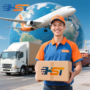 Professional Shipping Agent DDP Door To Door Logistics Services